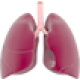 Lung Tonic–Cold–Flu–Sinusitis