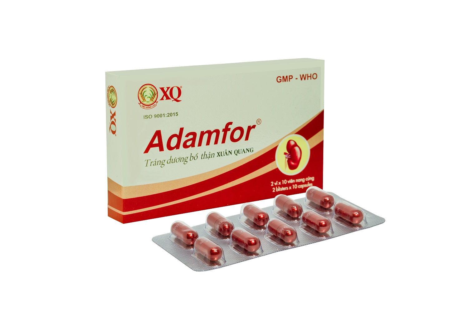 ADAMFOR-YANG INVIGORATING - KIDNEY TONIFYING XUAN QUANG