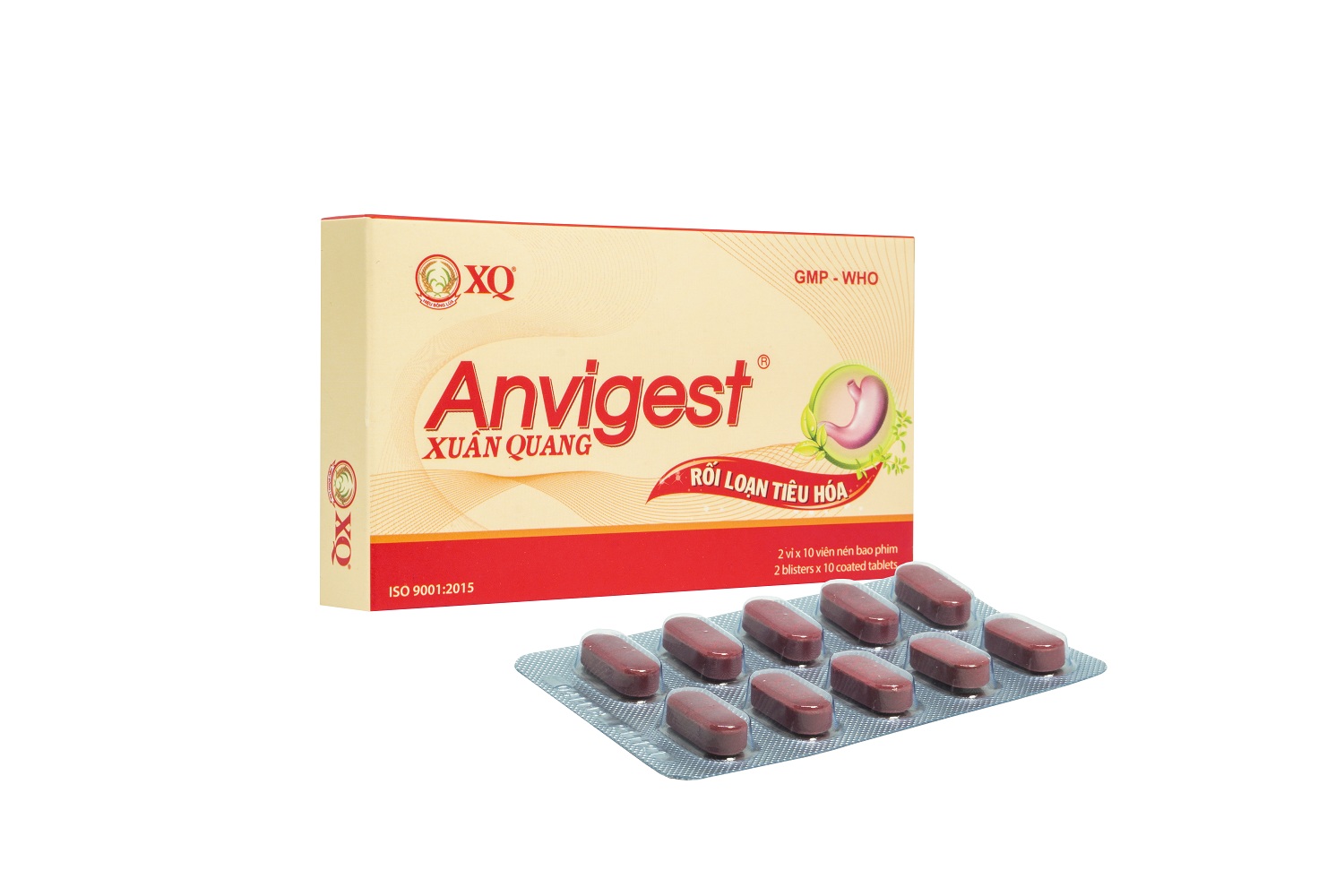 ANVIGEST – DIGESTIVE DISORDER