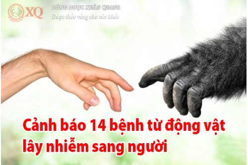 Cảnh báo 14 bệnh từ động vật lây nhiễm sang người 