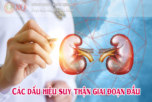 Các dấu hiệu suy thận giai đoạn đầu