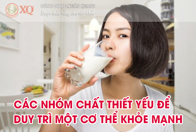 CÁC NHÓM CHẤT THIẾT YẾU ĐỂ DUY TRÌ MỘT CƠ THỂ KHỎE MẠNH